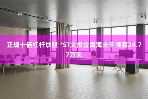 正规十倍杠杆炒股 *ST文投金青海去年领薪24.77万元