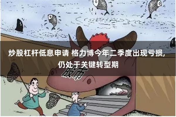 炒股杠杆低息申请 格力博今年二季度出现亏损, 仍处于关键转型期