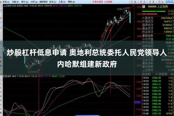 炒股杠杆低息申请 奥地利总统委托人民党领导人内哈默组建新政府