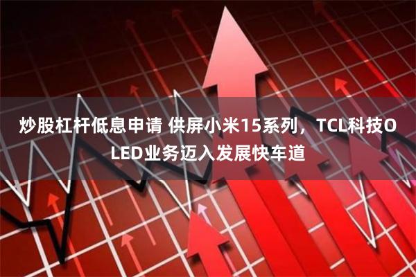 炒股杠杆低息申请 供屏小米15系列，TCL科技OLED业务迈入发展快车道