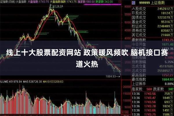 线上十大股票配资网站 政策暖风频吹 脑机接口赛道火热